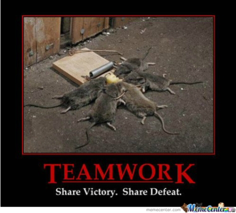 teamwork-funny-fun-lol-memes-pics-images-photos-pictures-bajiroo-4
